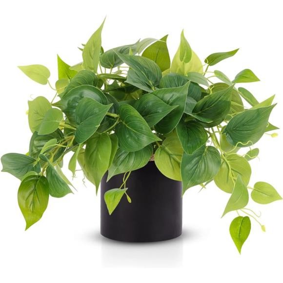 Faux Plants Indoor, Artificial Plants for Home Decor Indoor, Pothos Small Plants - Picture 1 of 7